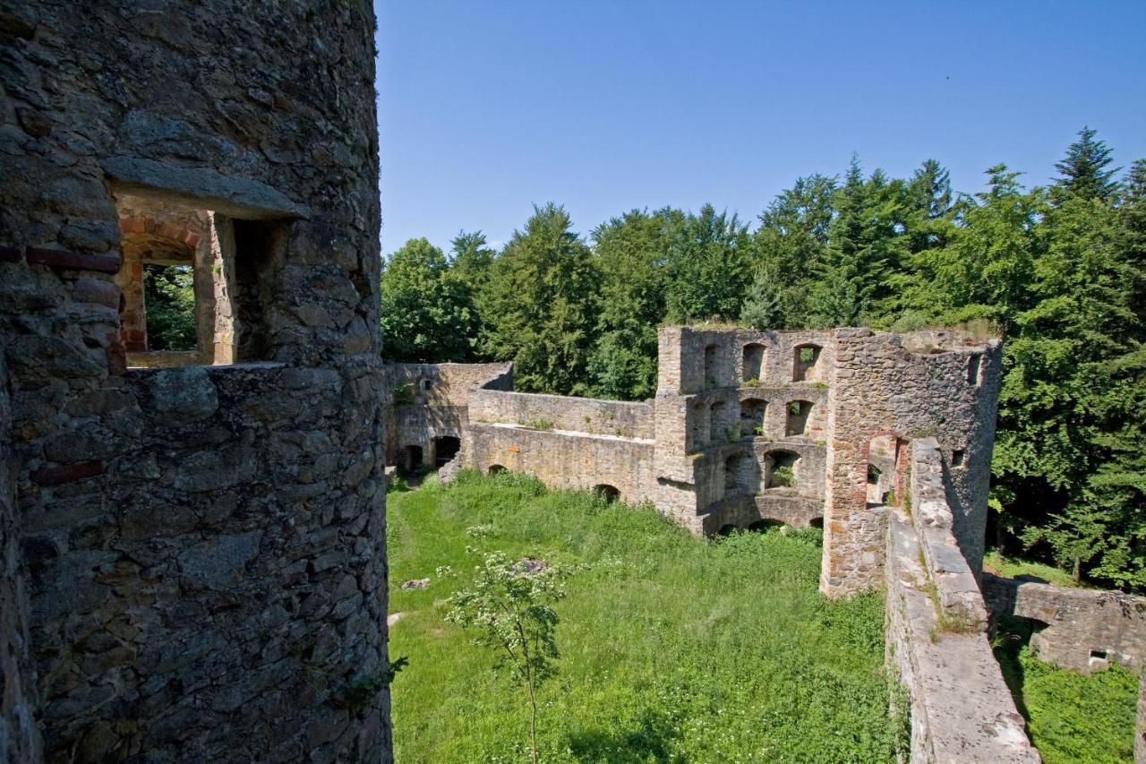 Blockhaus Stamsried Villa Exterior photo